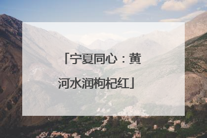 宁夏同心：黄河水润枸杞红