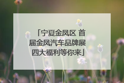 宁夏金凤区 首届金凤汽车品牌展四大福利等你来
