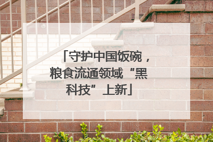 守护中国饭碗，粮食流通领域“黑科技”上新