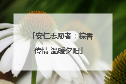 安仁志愿者：粽香传情 温暖夕阳