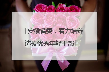 安徽省委：着力培养选拔优秀年轻干部