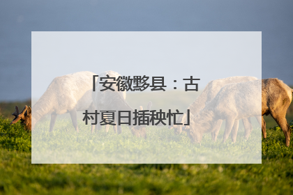 安徽黟县：古村夏日插秧忙