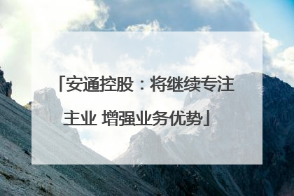 安通控股：将继续专注主业 增强业务优势