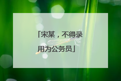 宋某，不得录用为公务员