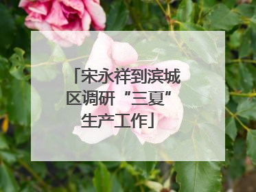 宋永祥到滨城区调研“三夏”生产工作