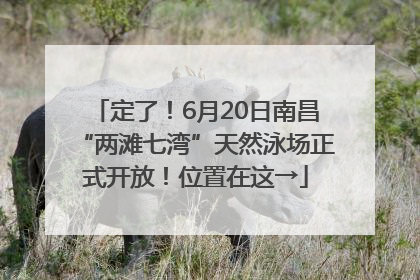 定了！6月20日南昌“两滩七湾”天然泳场正式开放！位置在这→