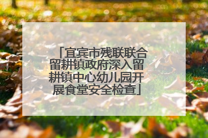 宜宾市残联联合留耕镇政府深入留耕镇中心幼儿园开展食堂安全检查