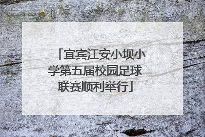 宜宾江安小坝小学第五届校园足球联赛顺利举行
