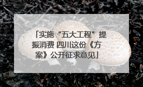 实施“五大工程”提振消费 四川这份《方案》公开征求意见