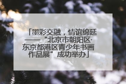 墨彩交融，情谊绵延——“北京市朝阳区·东京都港区青少年书画作品展”成功举办