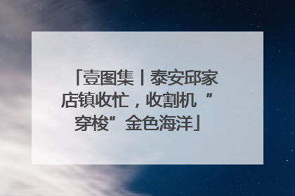 壹图集丨泰安邱家店镇收忙，收割机“穿梭”金色海洋