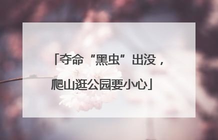 夺命“黑虫”出没，爬山逛公园要小心