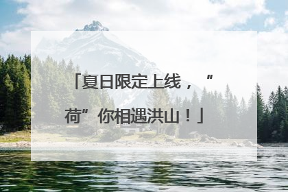 夏日限定上线，“荷”你相遇洪山！