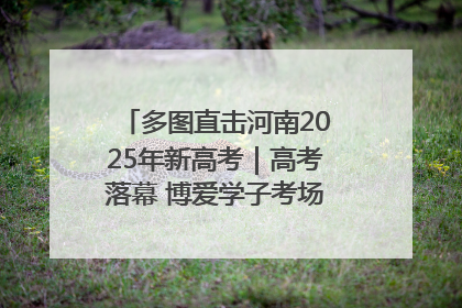 多图直击河南2025年新高考｜高考落幕 博爱学子考场外收获暖心祝福
