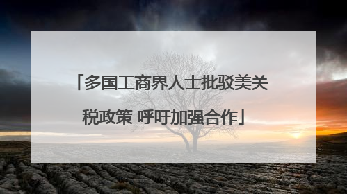 多国工商界人士批驳美关税政策 呼吁加强合作