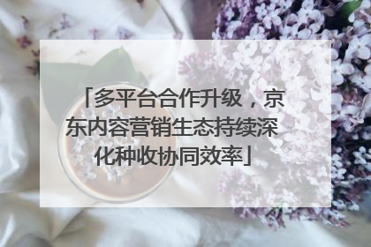 多平台合作升级，京东内容营销生态持续深化种收协同效率