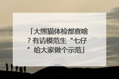 大熊猫体检都查啥？有请模范生“七仔”给大家做个示范