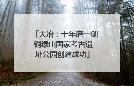 大冶：十年磨一剑 铜绿山国家考古遗址公园创建成功