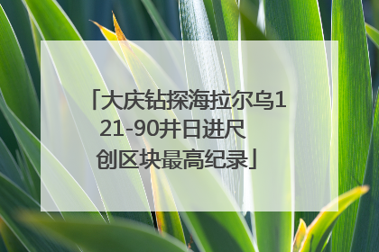 大庆钻探海拉尔乌121-90井日进尺 创区块最高纪录