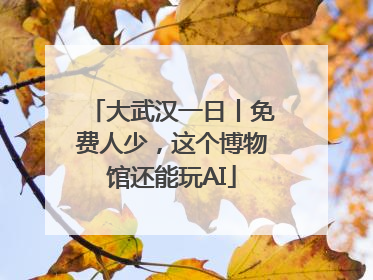 大武汉一日丨免费人少，这个博物馆还能玩AI