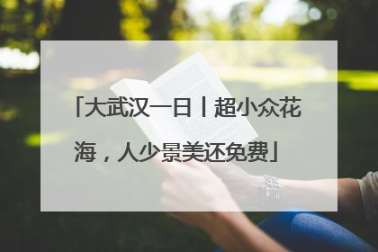 大武汉一日丨超小众花海，人少景美还免费