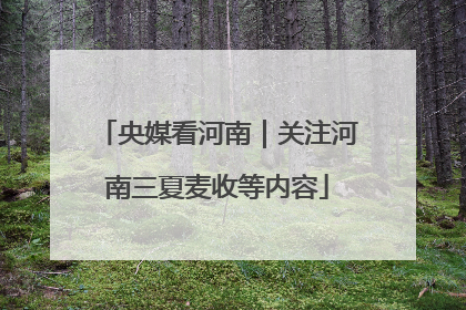 央媒看河南｜关注河南三夏麦收等内容
