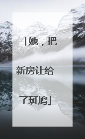 她，把新房让给了斑鸠