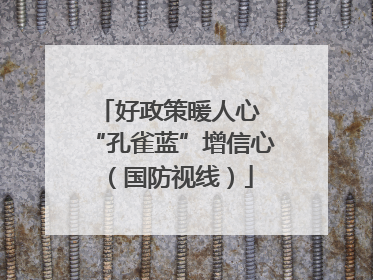 好政策暖人心 “孔雀蓝”增信心（国防视线）
