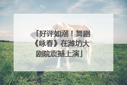 好评如潮！舞剧《咏春》在潍坊大剧院震撼上演