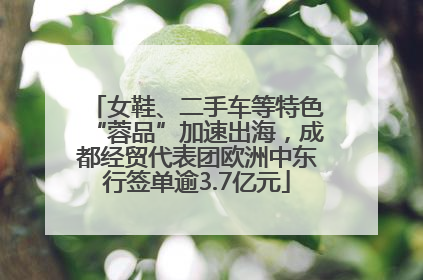 女鞋、二手车等特色“蓉品”加速出海，成都经贸代表团欧洲中东行签单逾3.7亿元