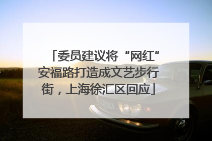 委员建议将“网红”安福路打造成文艺步行街，上海徐汇区回应