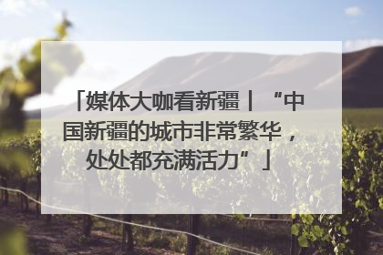 媒体大咖看新疆丨“中国新疆的城市非常繁华，处处都充满活力”