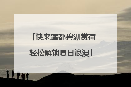 快来莲都碧湖赏荷 轻松解锁夏日浪漫