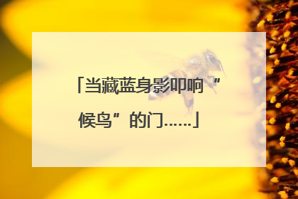 当藏蓝身影叩响“候鸟”的门……