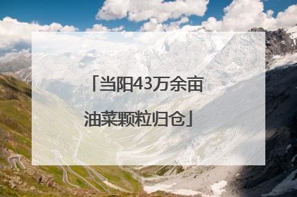 当阳43万余亩油菜颗粒归仓