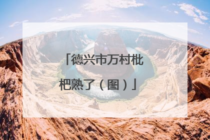 德兴市万村枇杷熟了（图）