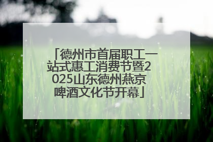 德州市首届职工一站式惠工消费节暨2025山东德州燕京啤酒文化节开幕