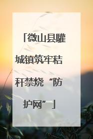 微山县驩城镇筑牢秸秆禁烧“防护网”