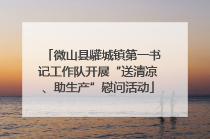 微山县驩城镇第一书记工作队开展“送清凉、助生产”慰问活动