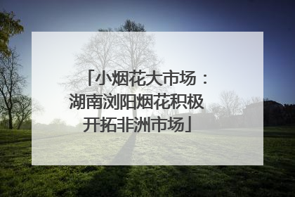 小烟花大市场：湖南浏阳烟花积极开拓非洲市场