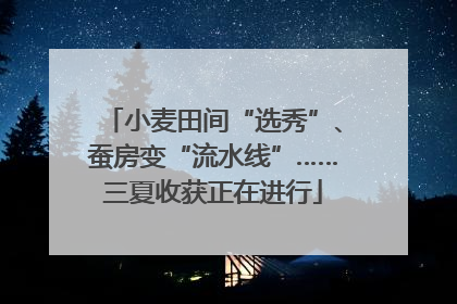 小麦田间“选秀”、蚕房变“流水线”……三夏收获正在进行