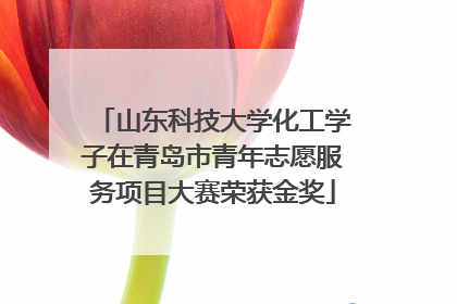 山东科技大学化工学子在青岛市青年志愿服务项目大赛荣获金奖