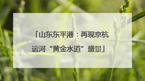 山东东平港：再现京杭运河“黄金水道”盛景