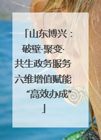 山东博兴：破壁·聚变·共生政务服务六维增值赋能“高效办成”