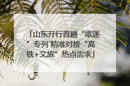 山东开行首趟“歌迷”专列 精准对接“高铁+文旅”热点需求