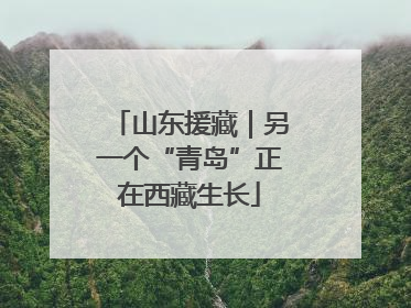山东援藏｜另一个“青岛”正在西藏生长