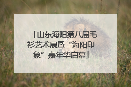 山东海阳第八届毛衫艺术展暨“海阳印象”嘉年华启幕