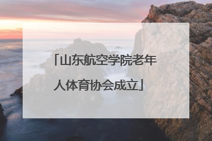 山东航空学院老年人体育协会成立