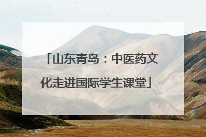 山东青岛：中医药文化走进国际学生课堂