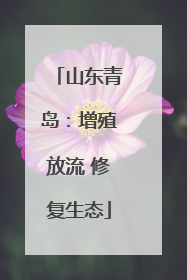 山东青岛：增殖放流 修复生态